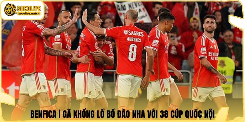 Benfica | Gã Khổng Lồ Bồ Đào Nha Với 38 Cúp Quốc Nội
