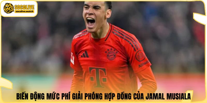 Biến động mức phí giải phóng hợp đồng của Jamal Musiala