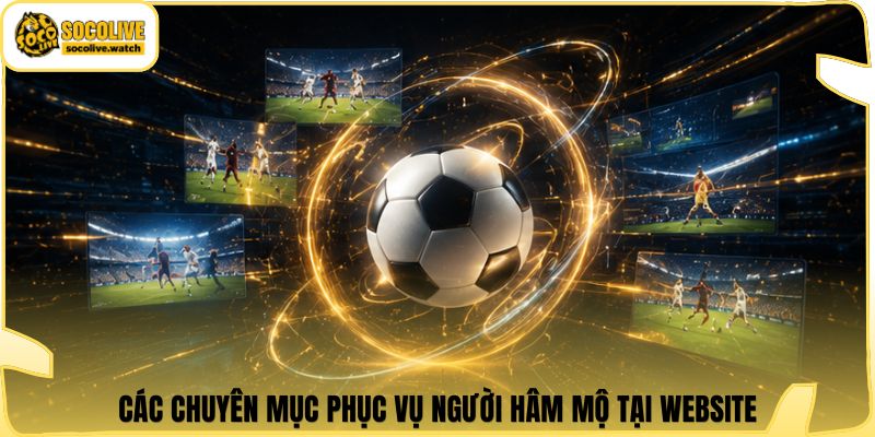 Các chuyên mục phục vụ người hâm mộ tại website