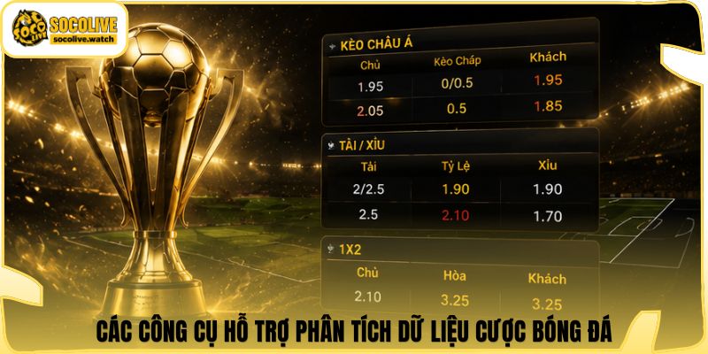 Các công cụ hỗ trợ phân tích dữ liệu cược bóng đá