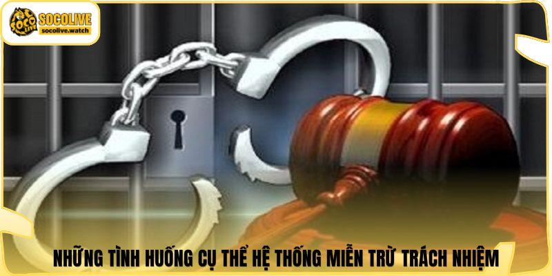 Những tình huống cụ thể hệ thống miễn trừ trách nhiệm
