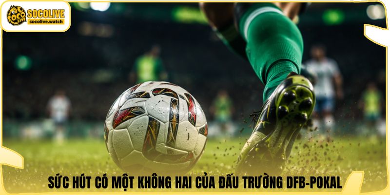 Sức hút có một không hai của đấu trường DFB-Pokal