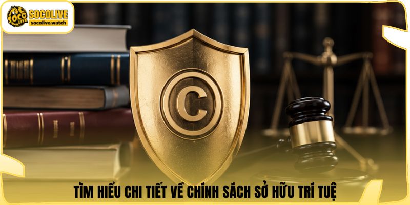 Tìm hiểu chi tiết về chính sách sở hữu trí tuệ