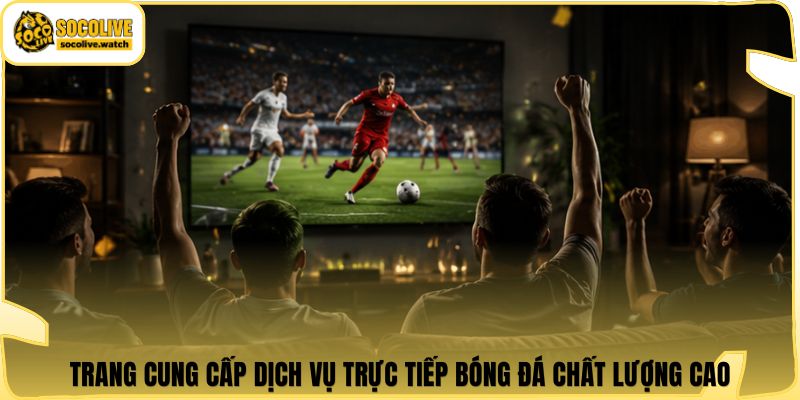 Trang cung cấp dịch vụ trực tiếp bóng đá chất lượng cao