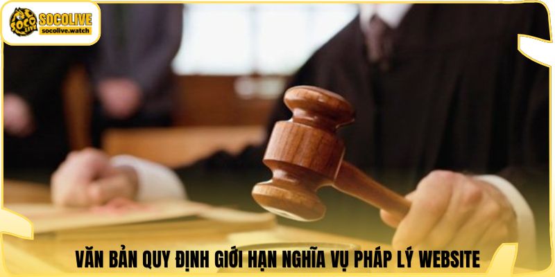 Văn bản quy định giới hạn nghĩa vụ pháp lý website